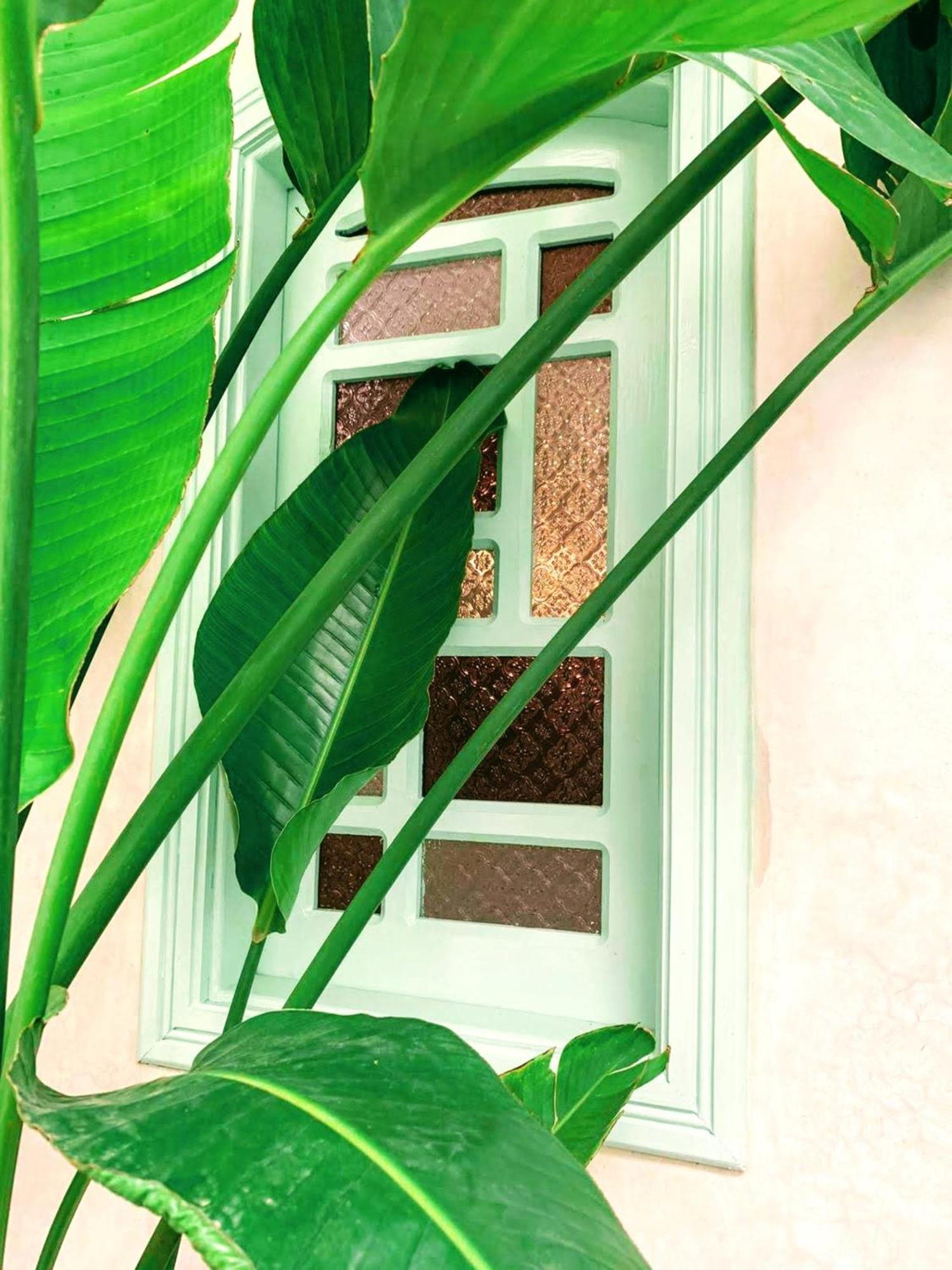 Riad With 3 Swimming Pools 마라케시 외부 사진