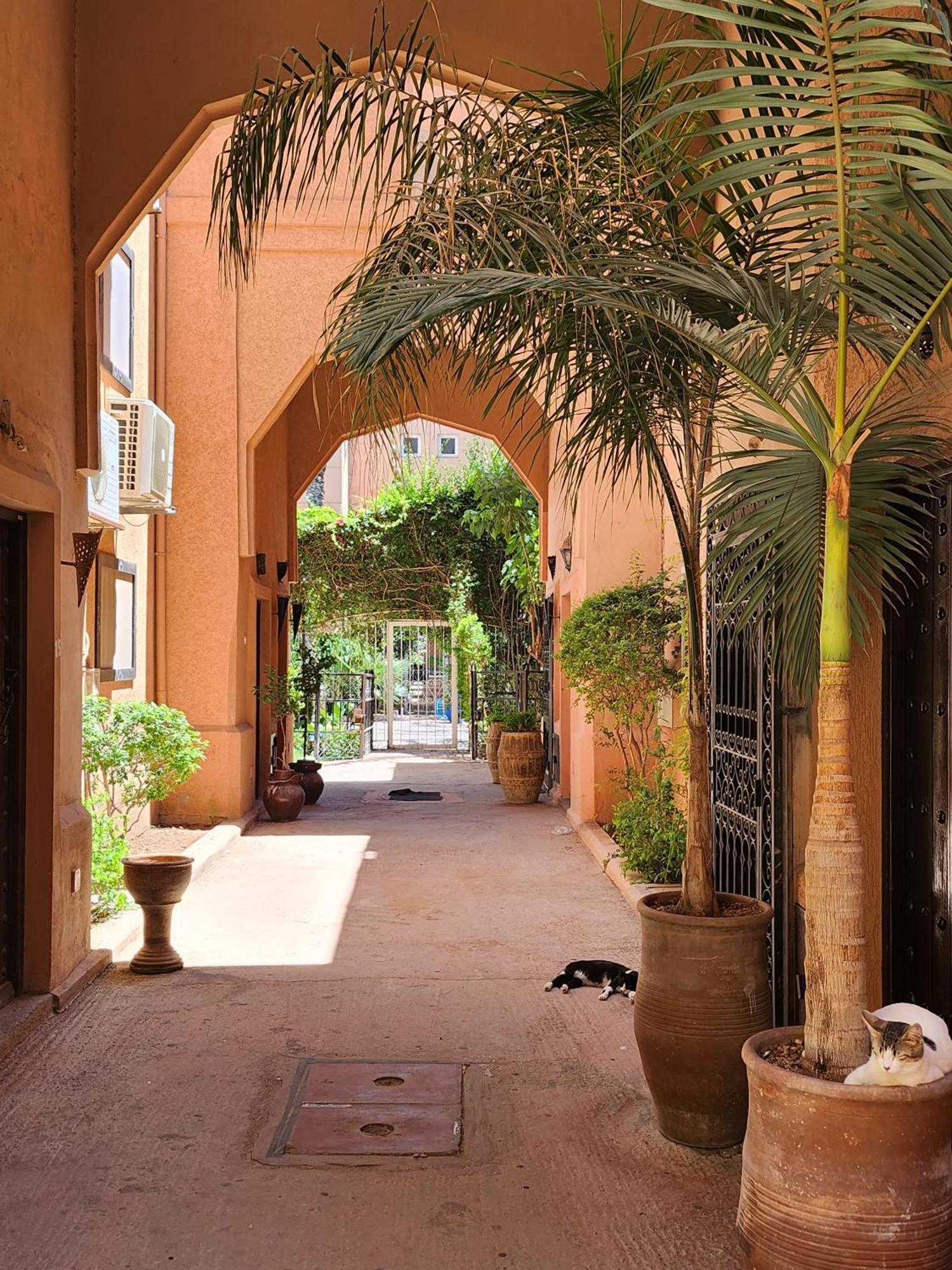 Riad With 3 Swimming Pools 마라케시 외부 사진